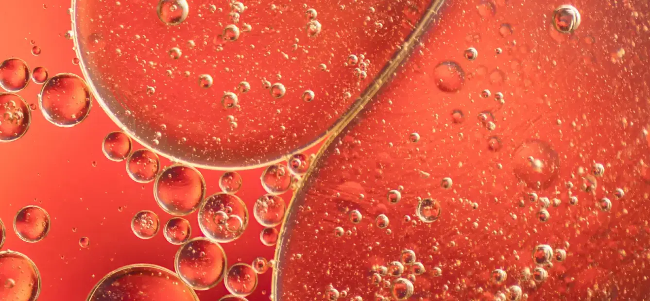Nicotinamide Riboside Chloride