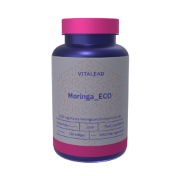 Moringa_ECO